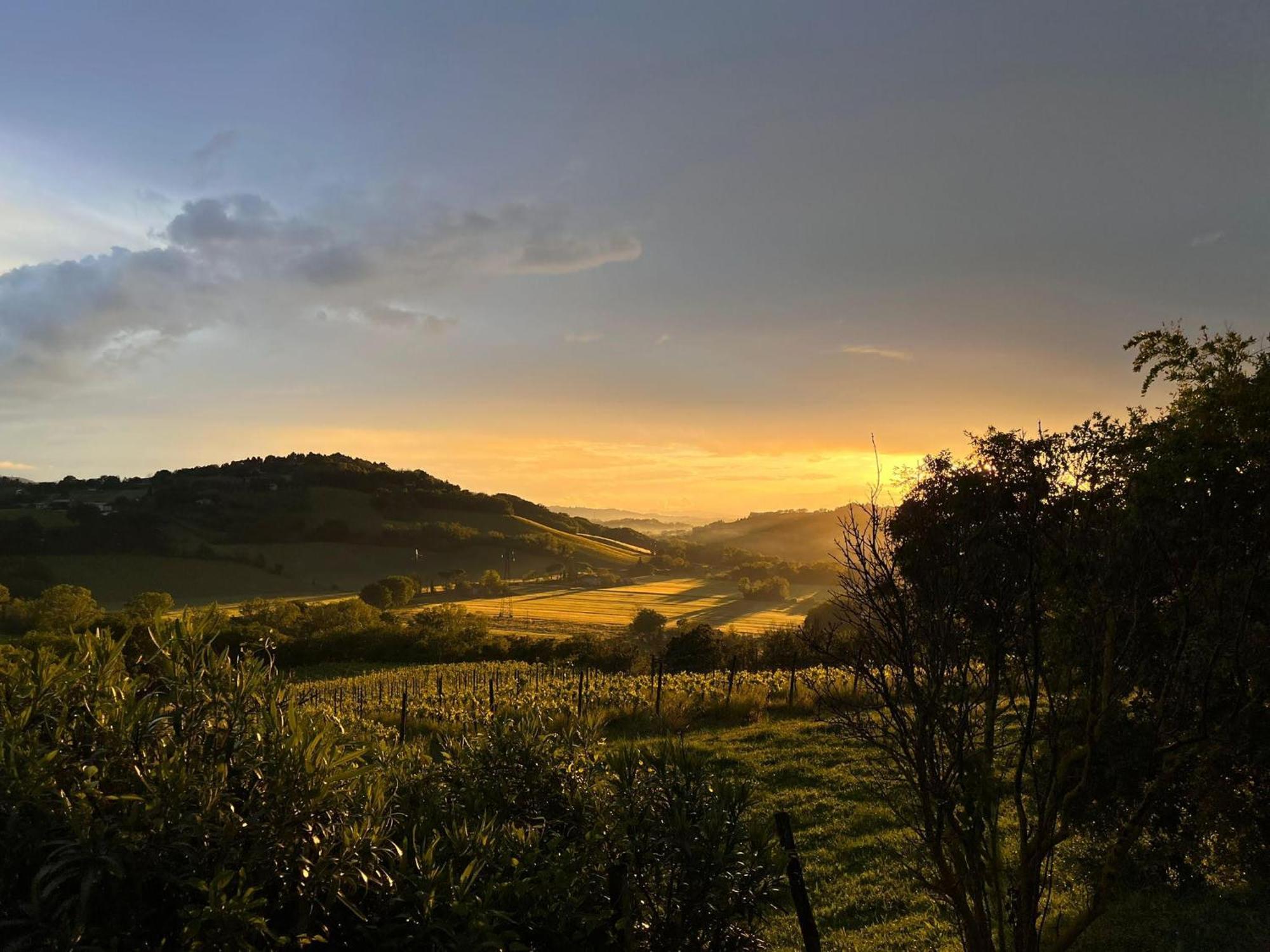 Agriturimo Ca Dorale Villa Fano Exteriör bild